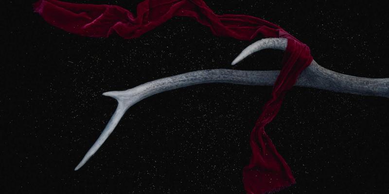 现代家居24：融合功能、美学与可持续性的生活艺术