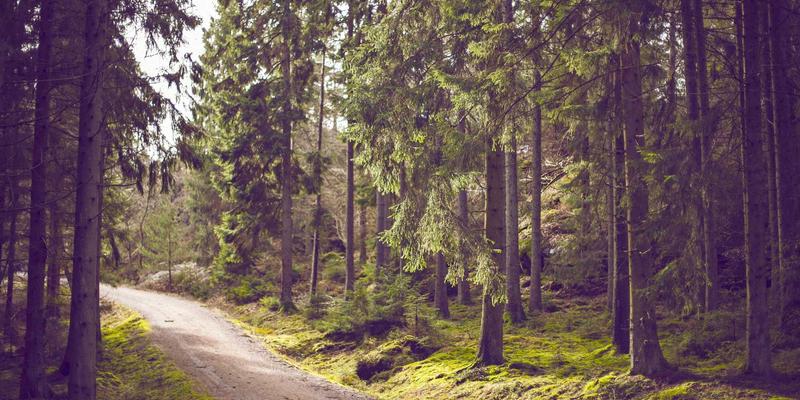 现代家居儿童房设计灵感：打造兼顾成长性、安全性与趣味性的灵活空间