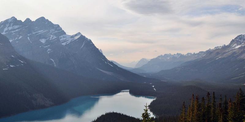 现代家居地板材质全解析：实木复合、SPC石塑与微水泥的优缺点对比