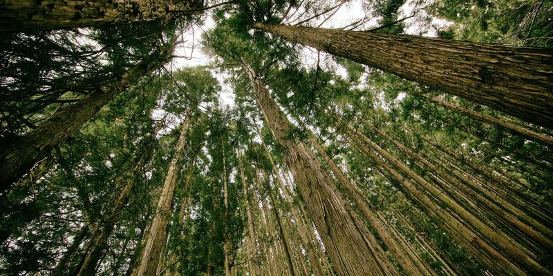 现代家居案例分析:如何通过现代风格家具与装饰设计打造理想生活空间