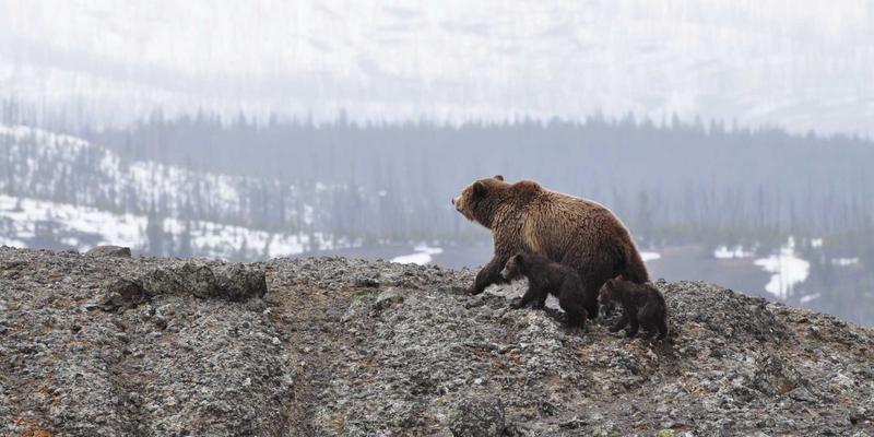 现代家居照明设计新趋势：无主灯照明如何营造高级层次感与氛围感