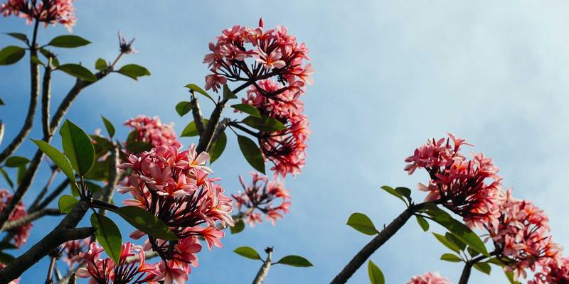 现代家居设计灵感：为何环保材料正重塑室内设计新美学