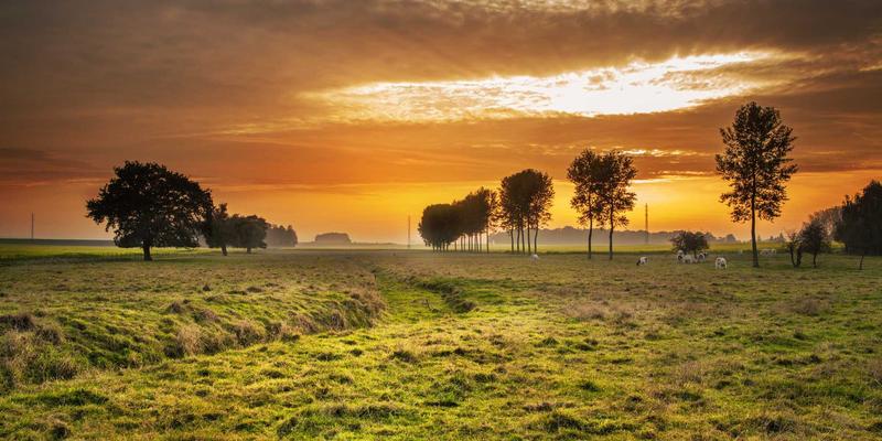 现代家居设计灵感：如何通过全屋净水与空气净化系统构建健康居住环境