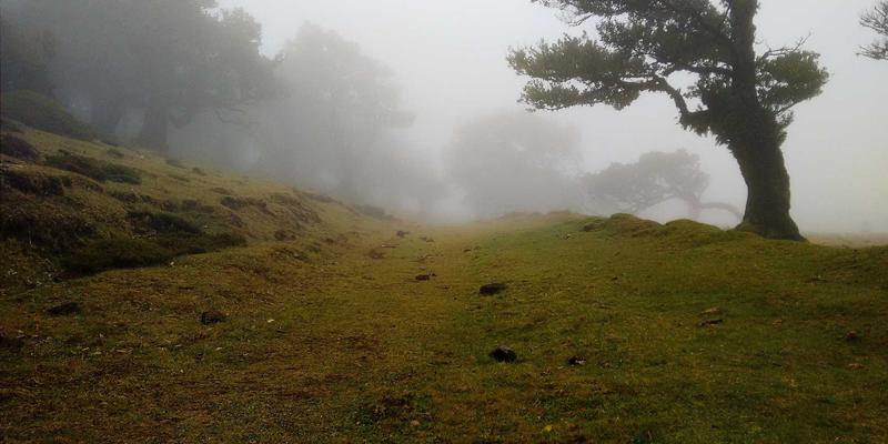 现代家居趋势：从设计灵感中探索当代生活美学