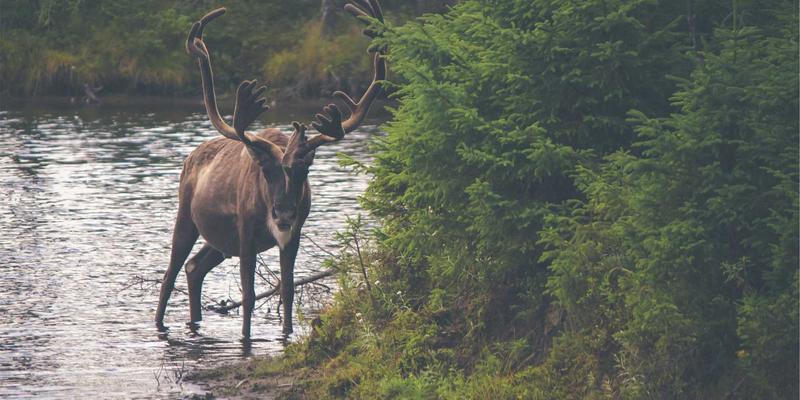 现代家居进阶:从室内设计到装饰美学的完整蜕变指南