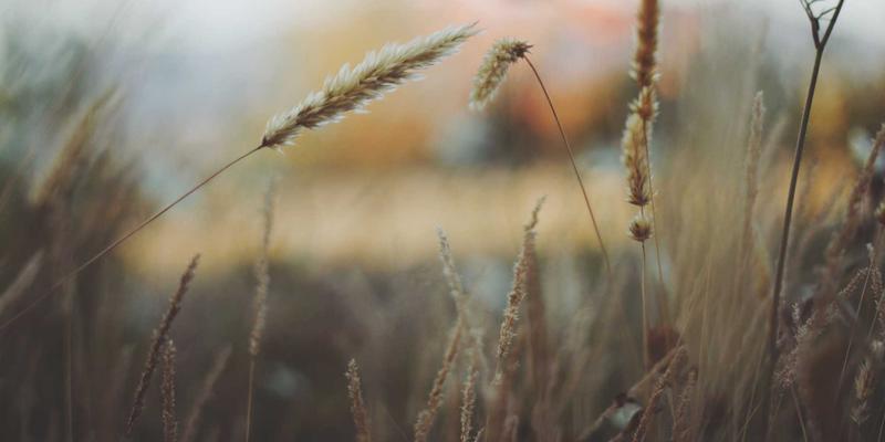 现代家居阳台改造：从晾晒区到多功能休闲空间的装饰设计灵感