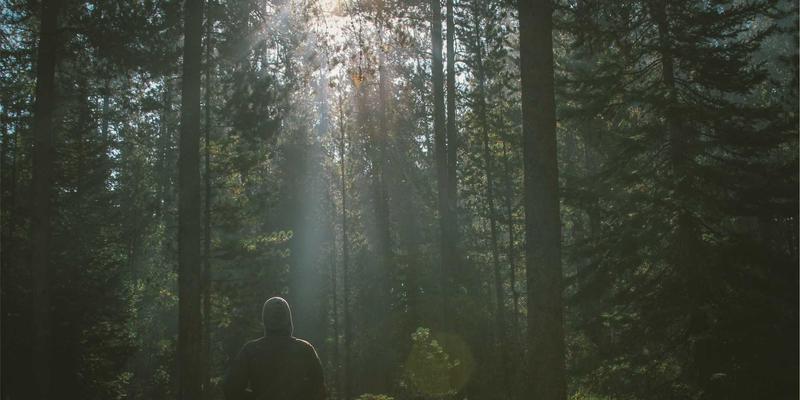 现代风格家居升级指南：智能窗帘与遮阳系统的装饰设计与自动化设置