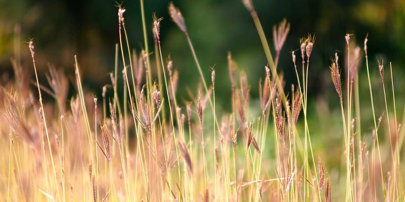 现代风格家居的隐形守护者：全屋净水系统的必要性与配置要点