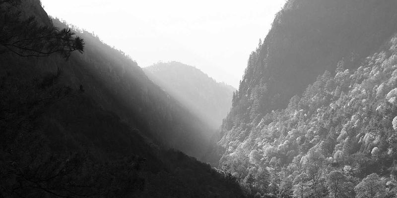 现代风格家居设计灵感：从健康出发，探索新型环保建材的智慧选择